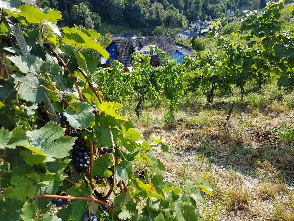 Apartament Rhine Pearl Hideaways Oberwesel Zewnętrze zdjęcie